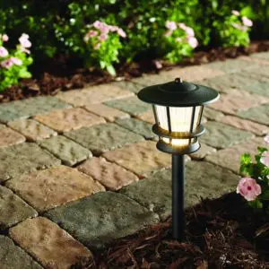 eb4388b6-839a-406a-8745-5832d5523dc5_1000