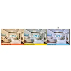 ecosmart-led-bulbs-c6a1960wul02-e1_1000