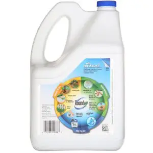 roundup-weed-grass-killer-5003810-e1_1000