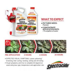 spectracide-weed-grass-killer-hg-96371-1-40_1000