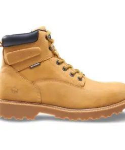 Clothing & Foot Wear
