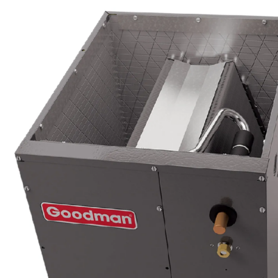 Goodman2