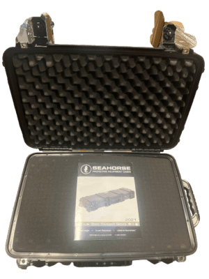 seahorse_2_of_2-removebg-preview