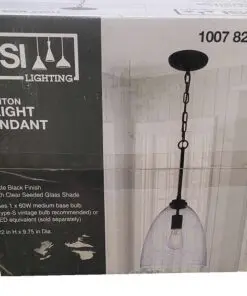 DSI LIGHTING Trenton 1-Light Matte Black Shaded Pendant with Clear Seedy Glass Shade