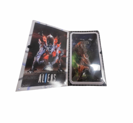 482929944_4028184530795991_7766612276740250218_n-removebg-preview