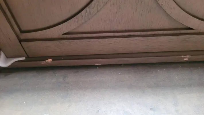 28daf113-0b91-4b43-9d9f-8635662ff084