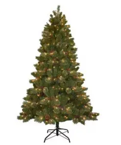 tree