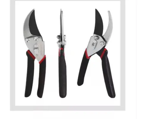 Shears