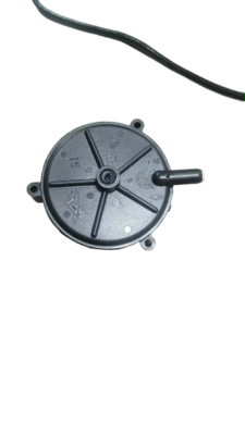 b0cc2a92-f650-4fed-a953-bf402a8c5671-scaled-bg-removed
