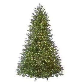 Elegant Grand Fir LED Pre-Lit Christmas Tree
